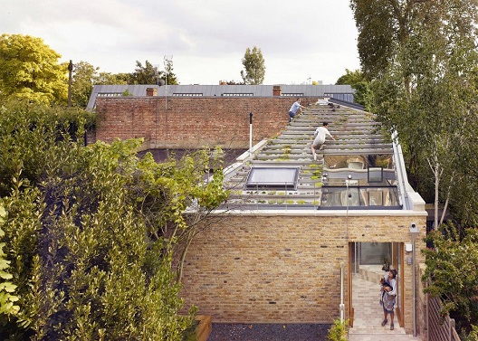 Градина со 800 билки на покривот на лондонска куќа